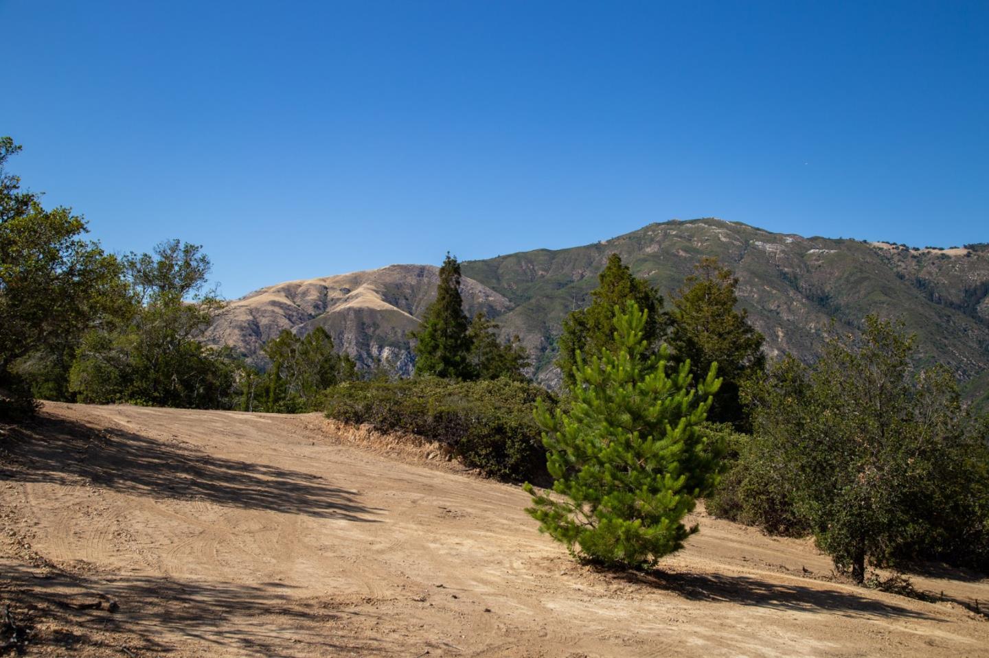 Detail Gallery Image 25 of 32 For 0 Pfeiffer Ridge Road, Big Sur Coast,  CA 93920 - – Beds | – Baths