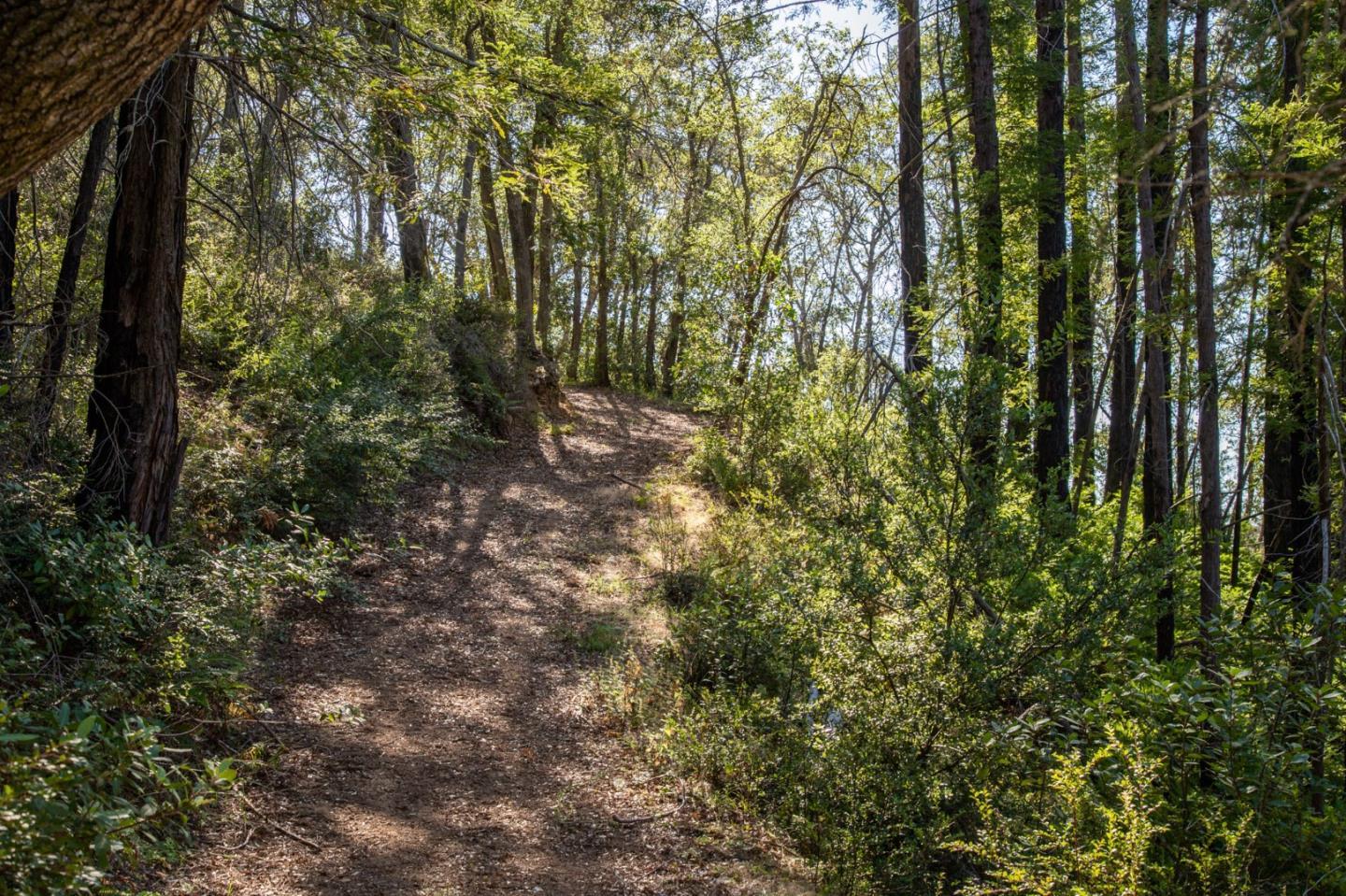 Detail Gallery Image 27 of 32 For 0 Pfeiffer Ridge Road, Big Sur,  CA 93920 - – Beds | – Baths