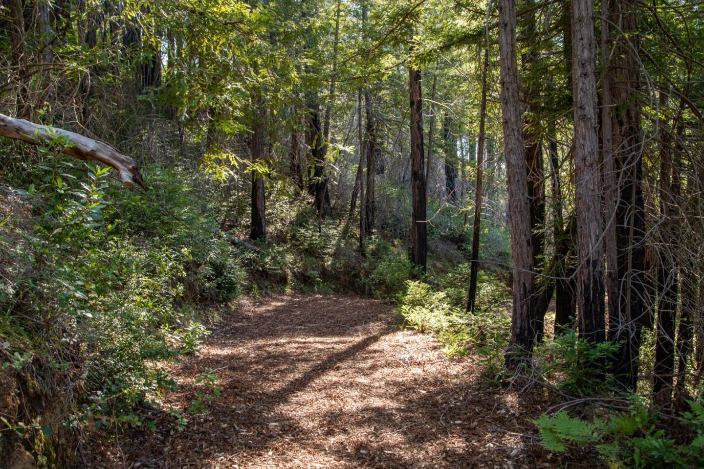 Detail Gallery Image 30 of 32 For 0 Pfeiffer Ridge Road, Big Sur,  CA 93920 - – Beds | – Baths