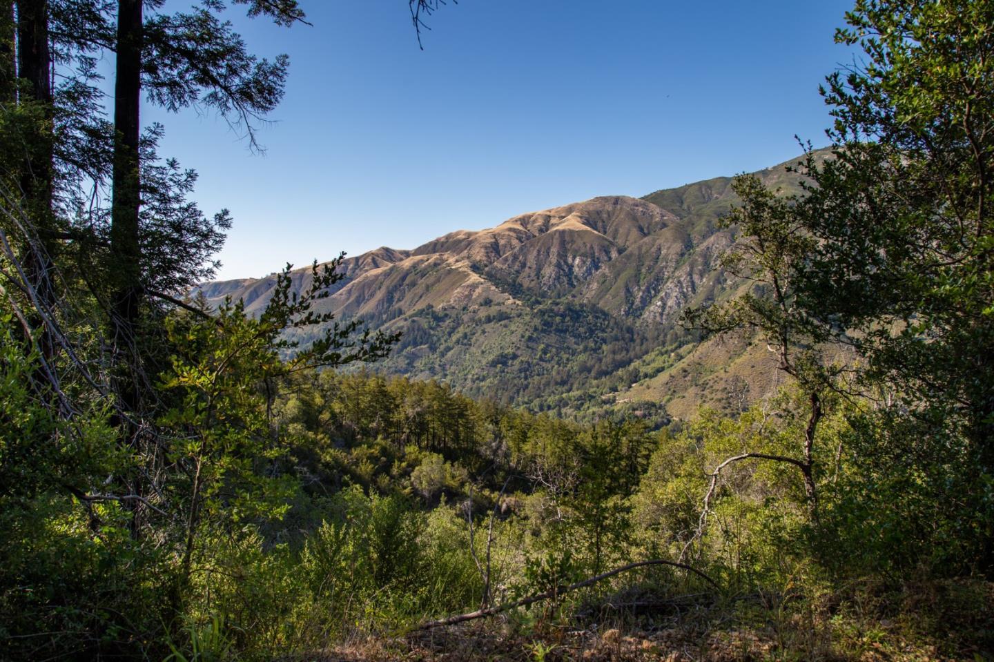 Detail Gallery Image 8 of 32 For 0 Pfeiffer Ridge Road, Big Sur,  CA 93920 - – Beds | – Baths