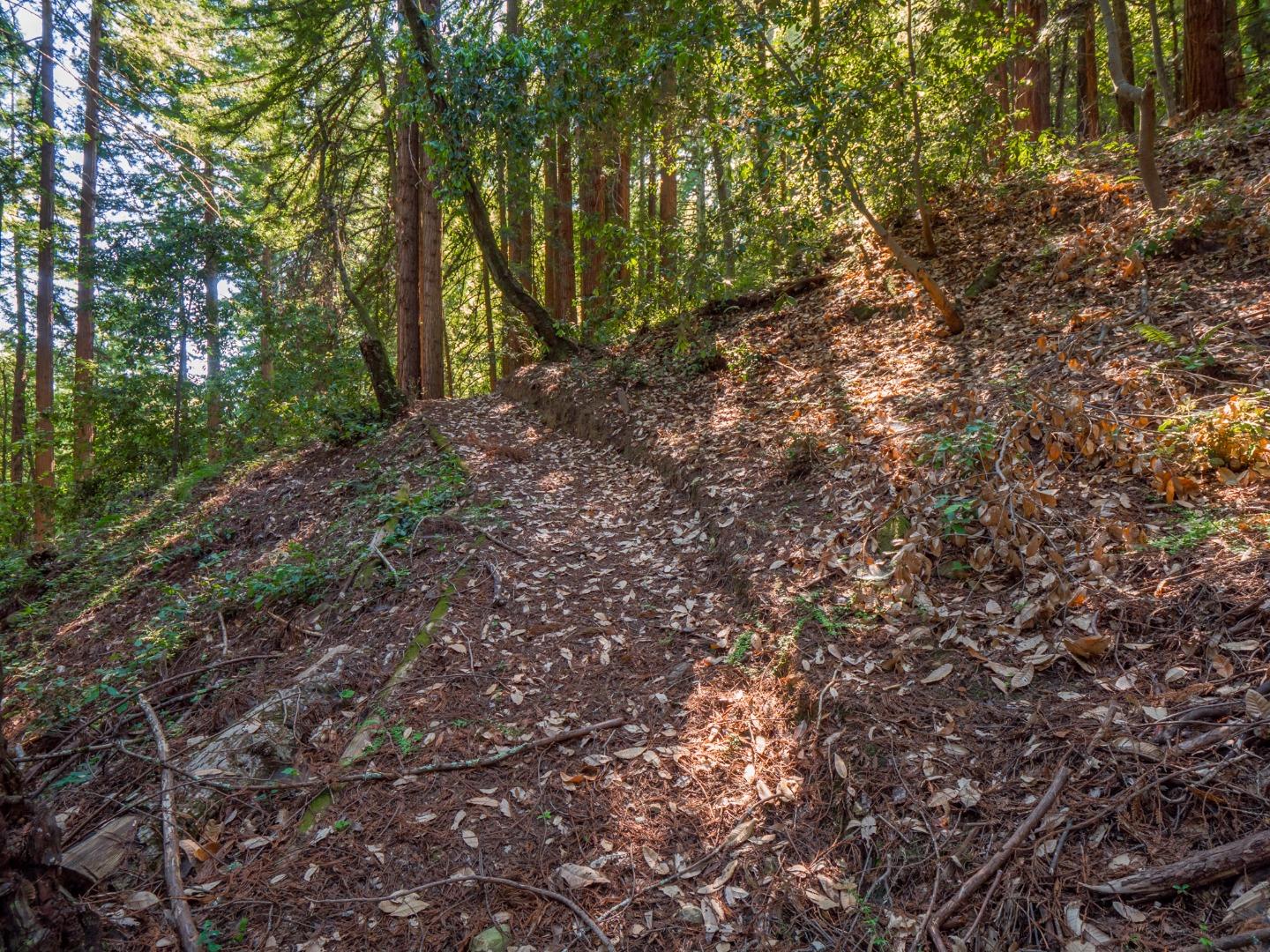 Detail Gallery Image 66 of 79 For 621 Hidden Cyn, Watsonville,  CA 95076 - 3 Beds | 2 Baths