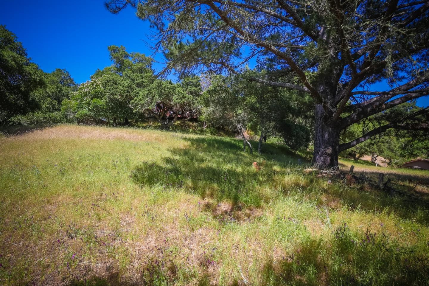 0 Sherman, Santa Cruz, California 95066, ,Land,For Sale,0 Sherman,ML81972397