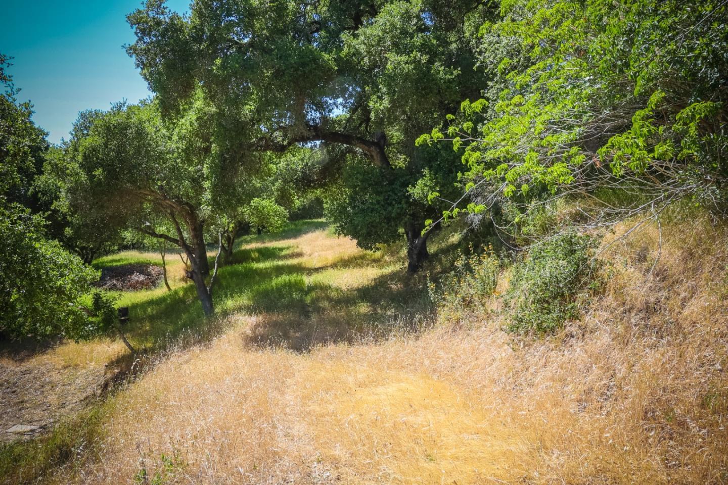 0 Sherman, Santa Cruz, California 95066, ,Land,For Sale,0 Sherman,ML81972397