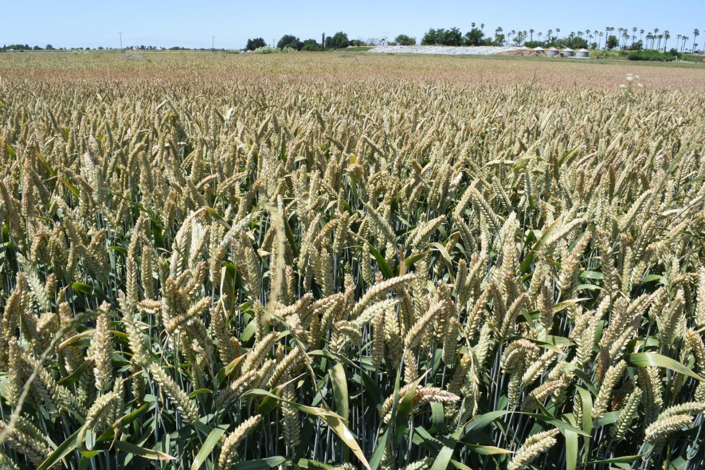 00 Novato Boulevard, Novato, CA, 94947