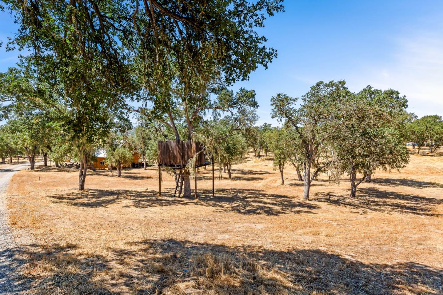 Detail Gallery Image 39 of 59 For 68265 Dafino Ln, Lockwood,  CA 93932 - 3 Beds | 2 Baths