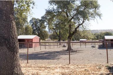 Detail Gallery Image 17 of 43 For 19600 Lake California Dr, Cottonwood_TEA,  CA 96022 - – Beds | – Baths