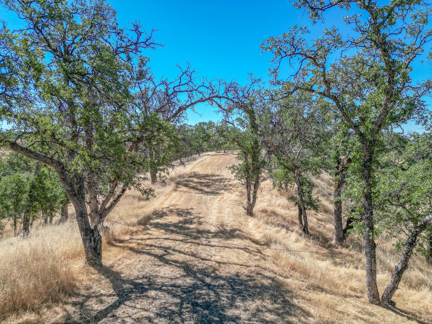 Detail Gallery Image 1 of 22 For 0 Wood Duck Pass Rd, Red Bluff,  CA 96080 - – Beds | – Baths