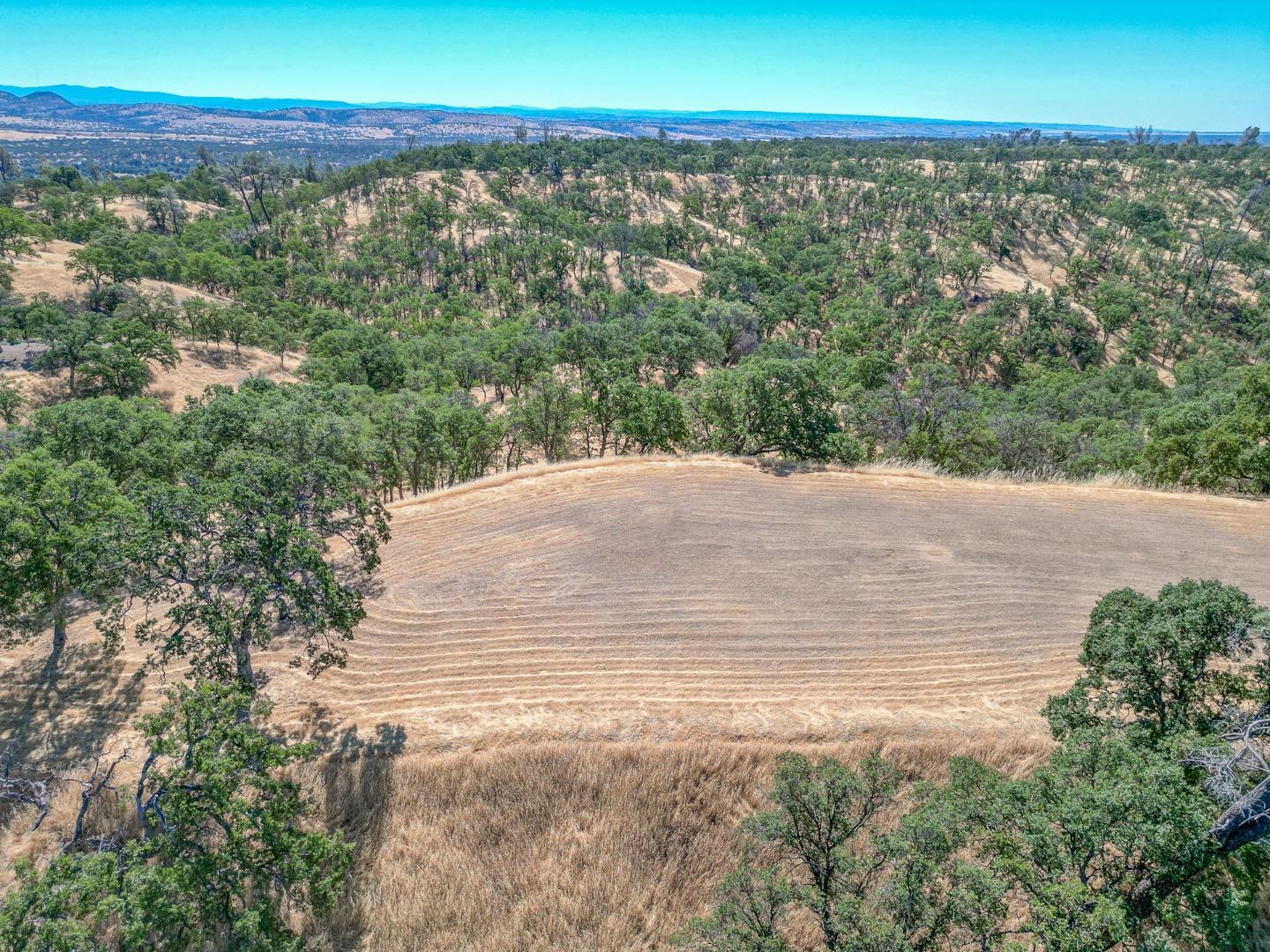 Detail Gallery Image 14 of 22 For 0 Wood Duck Pass Rd, Red Bluff,  CA 96080 - – Beds | – Baths