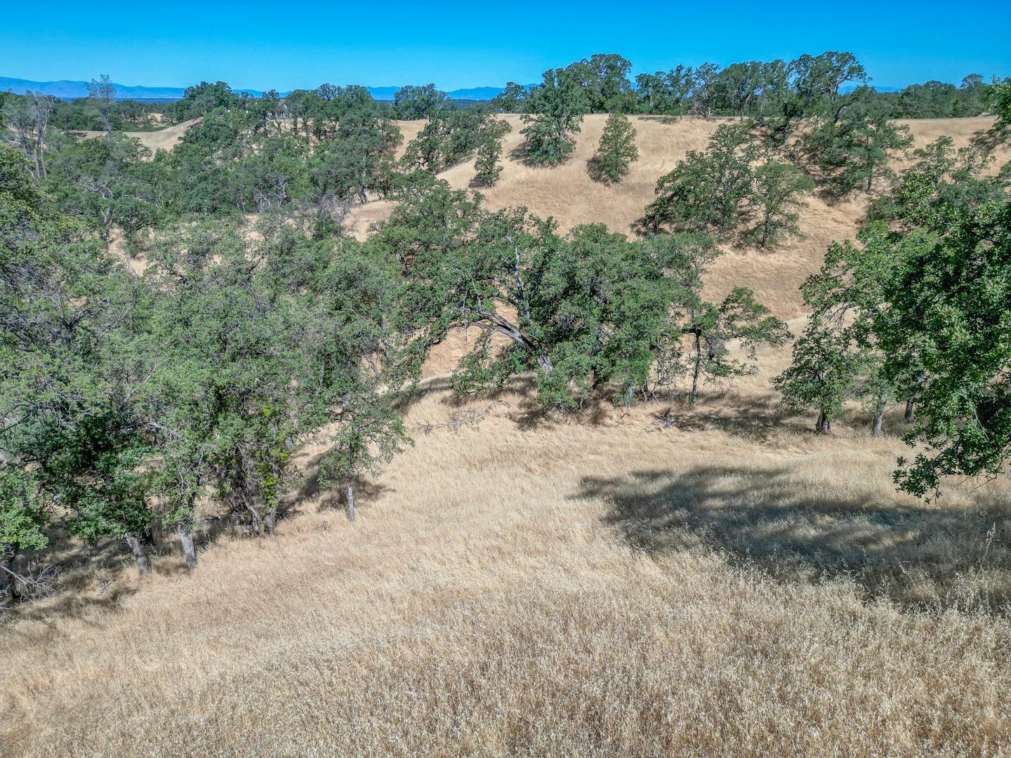 Detail Gallery Image 15 of 22 For 0 Wood Duck Pass Rd, Red Bluff,  CA 96080 - – Beds | – Baths