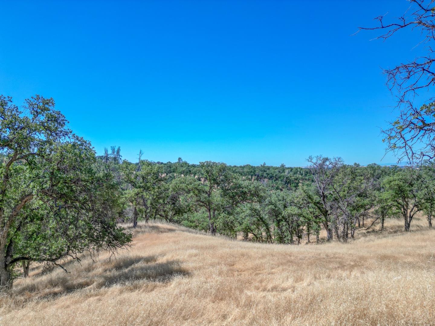 Detail Gallery Image 16 of 22 For 0 Wood Duck Pass Rd, Red Bluff,  CA 96080 - – Beds | – Baths