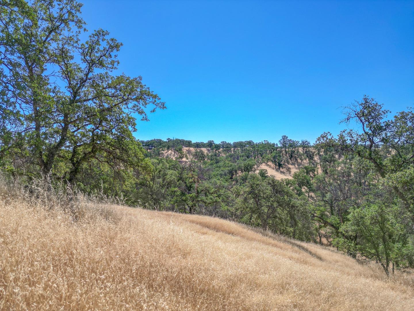 Detail Gallery Image 17 of 22 For 0 Wood Duck Pass Rd, Red Bluff,  CA 96080 - – Beds | – Baths