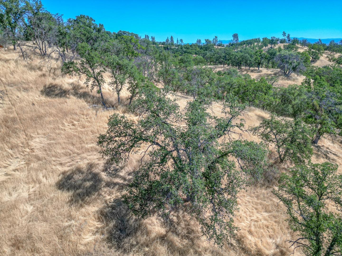 Detail Gallery Image 18 of 22 For 0 Wood Duck Pass Rd, Red Bluff,  CA 96080 - – Beds | – Baths