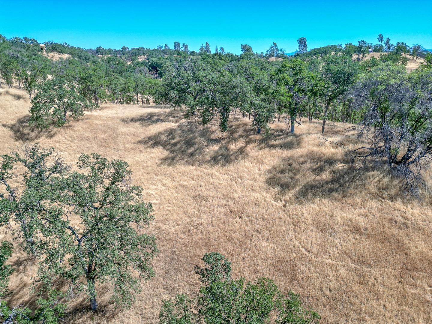 Detail Gallery Image 19 of 22 For 0 Wood Duck Pass Rd, Red Bluff,  CA 96080 - – Beds | – Baths