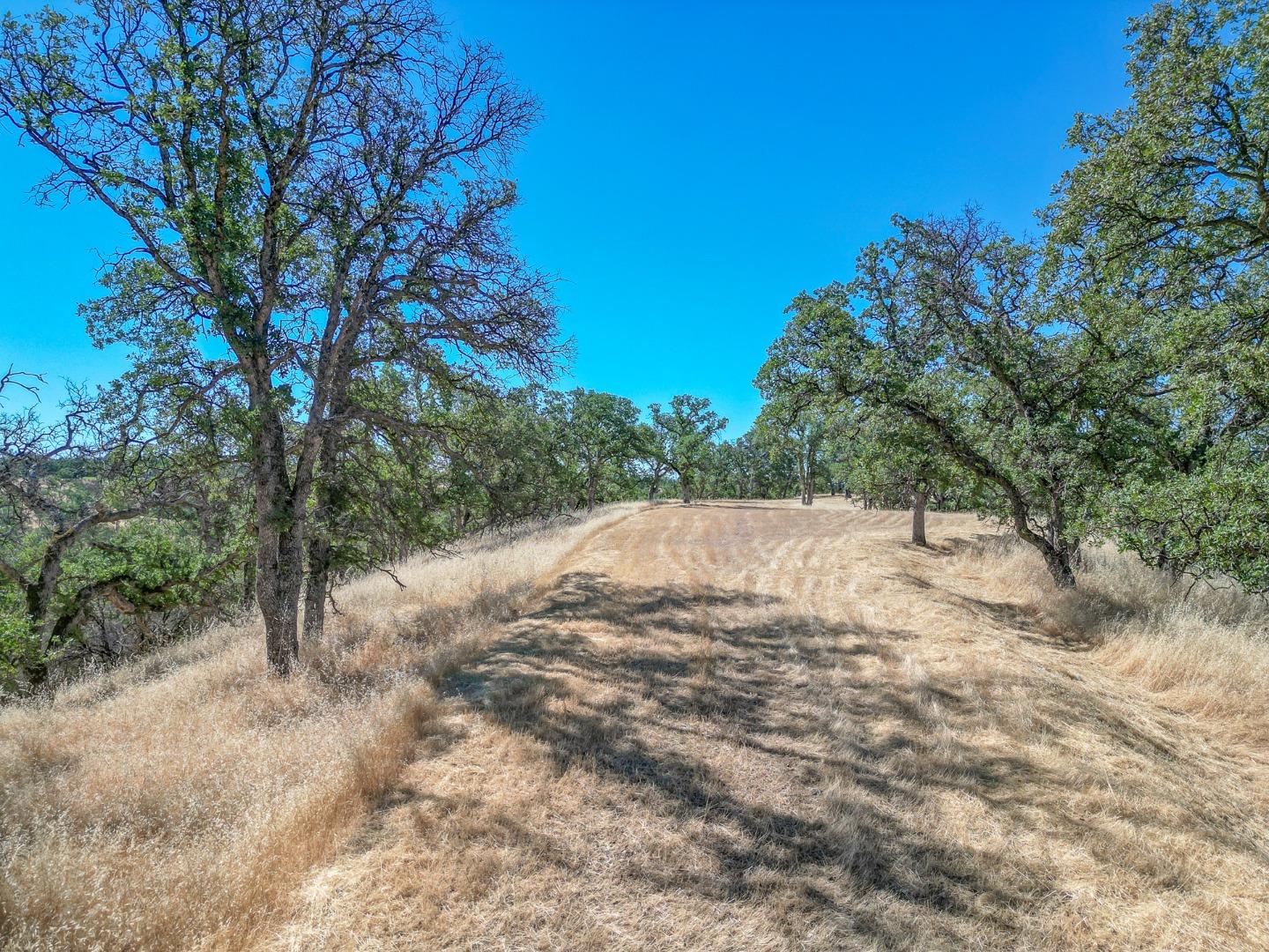 Detail Gallery Image 7 of 22 For 0 Wood Duck Pass Rd, Red Bluff,  CA 96080 - – Beds | – Baths