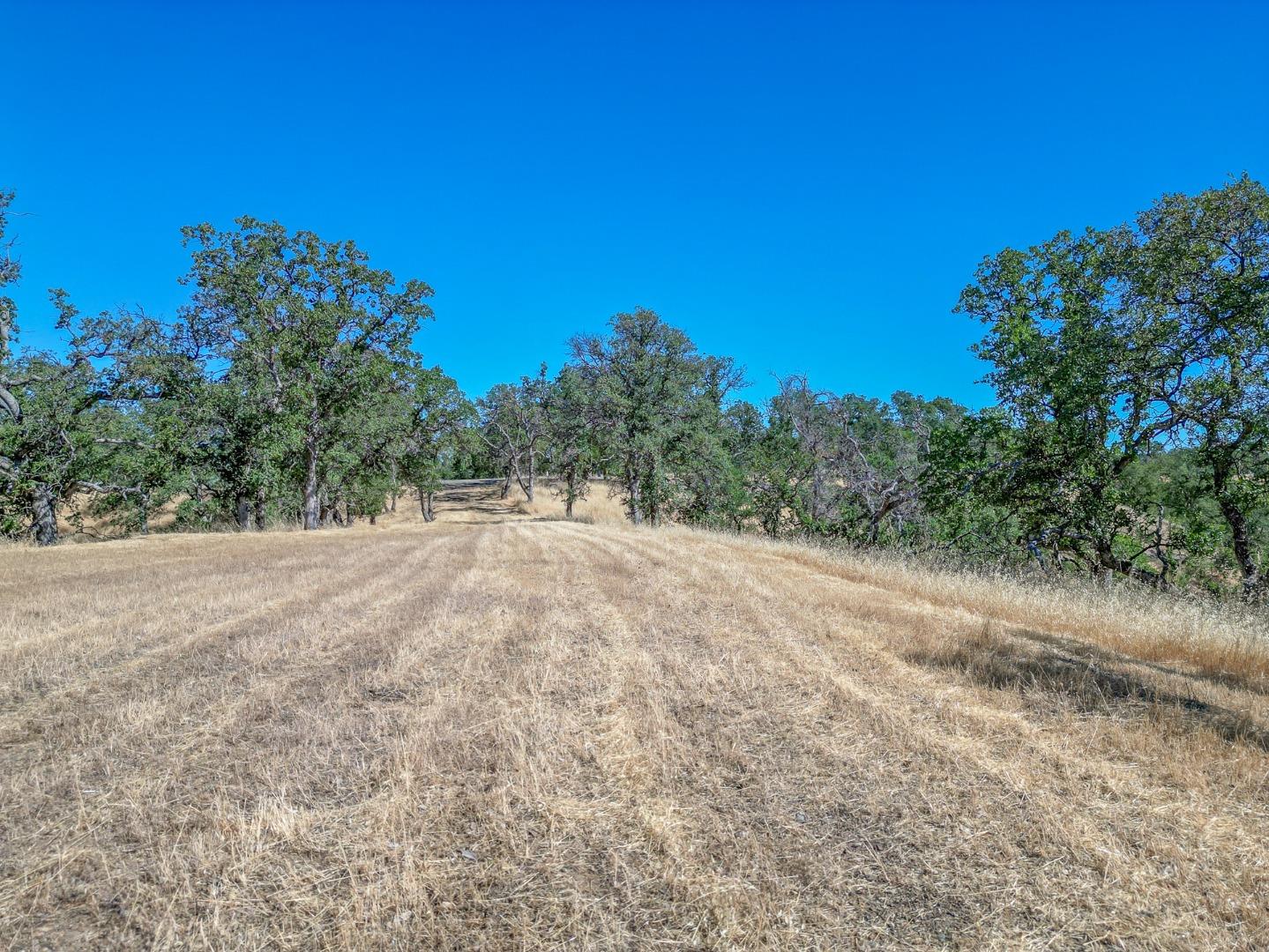 Detail Gallery Image 8 of 22 For 0 Wood Duck Pass Rd, Red Bluff,  CA 96080 - – Beds | – Baths