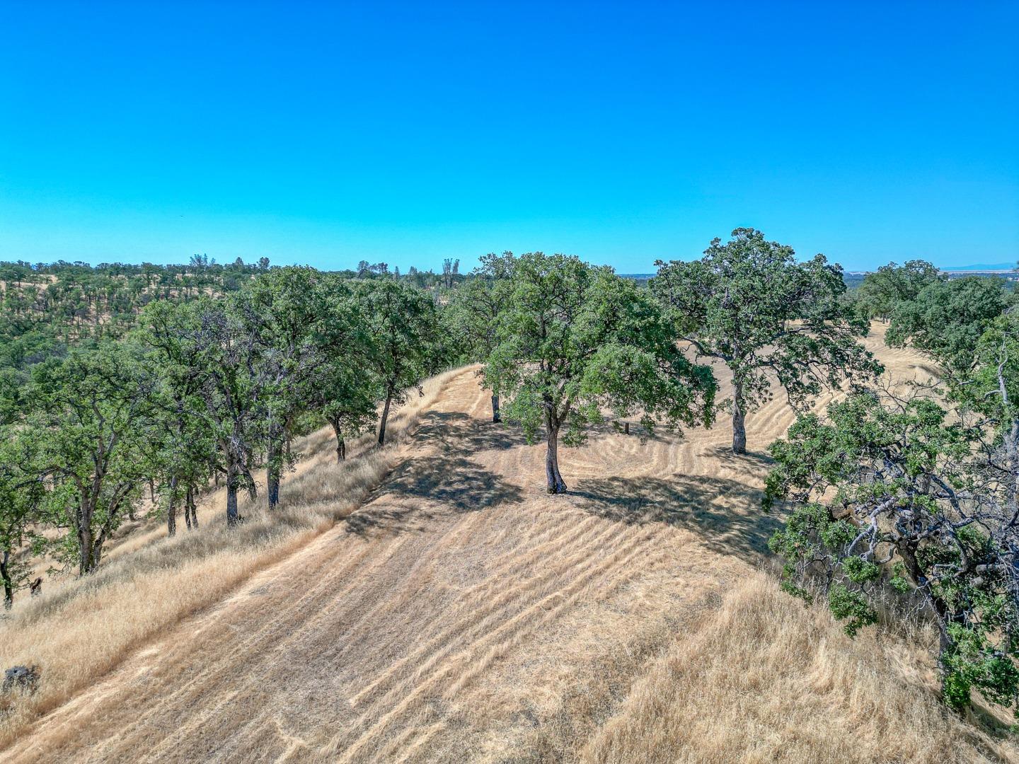 Detail Gallery Image 9 of 22 For 0 Wood Duck Pass Rd, Red Bluff,  CA 96080 - – Beds | – Baths