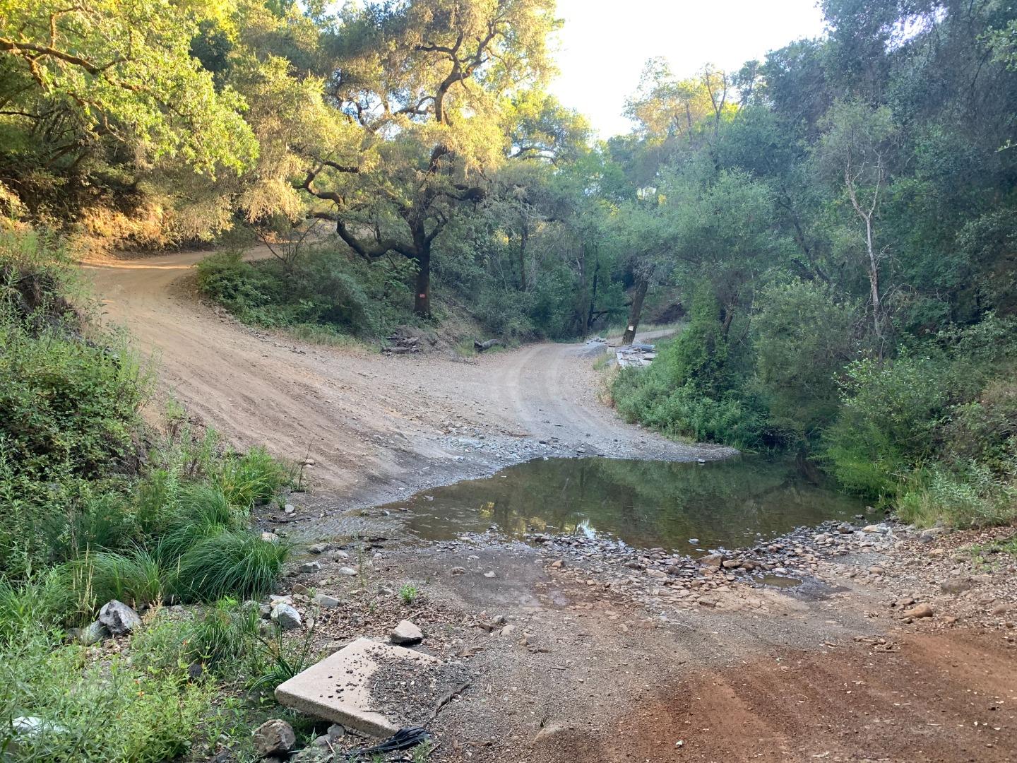 14715 Uvas, Morgan Hill, California 95037, ,Land,For Sale,14715 Uvas,ML81972648