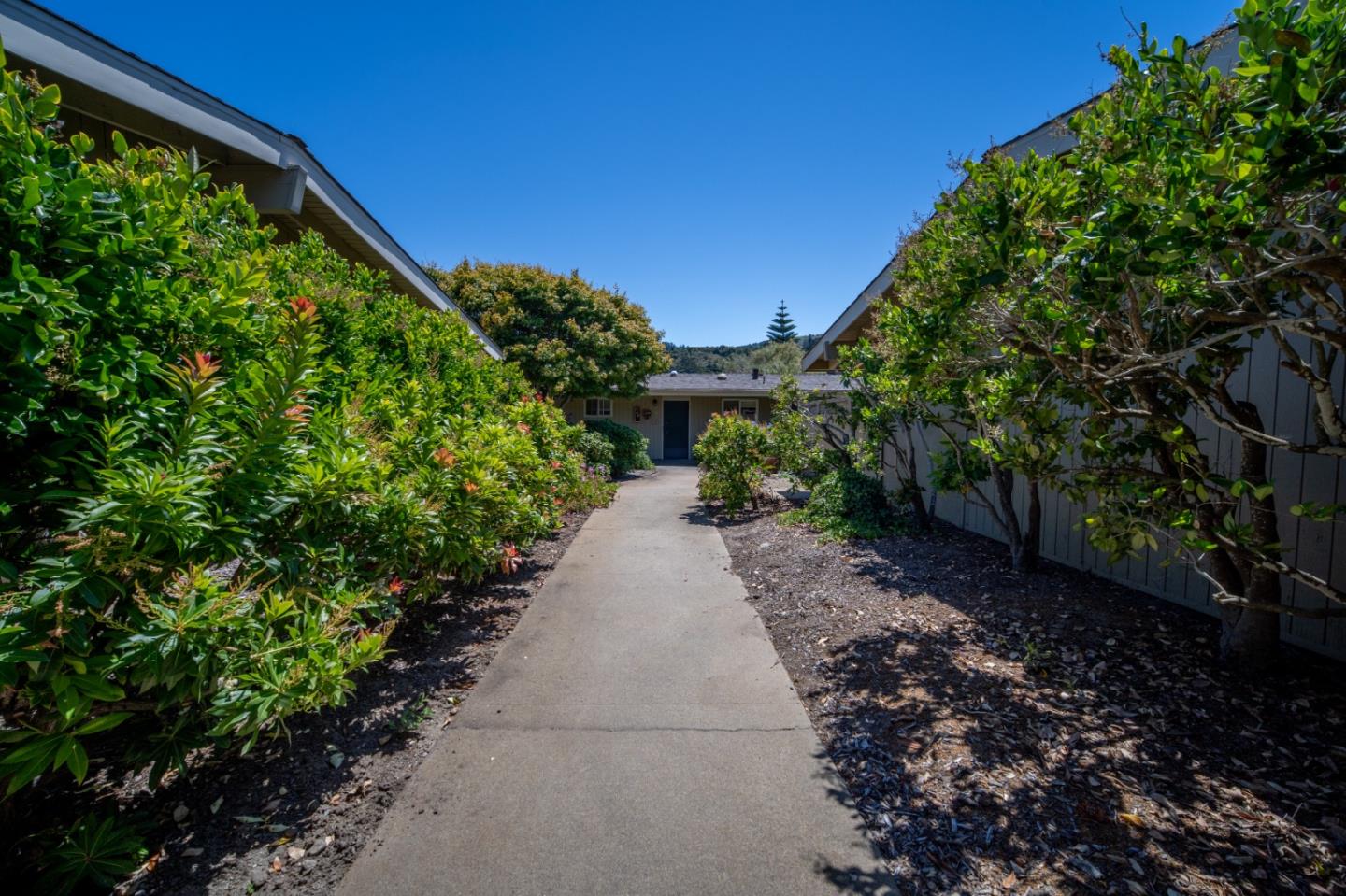 Detail Gallery Image 25 of 33 For 145 Hacienda Carmel, Carmel,  CA 93923 - 2 Beds | 2 Baths