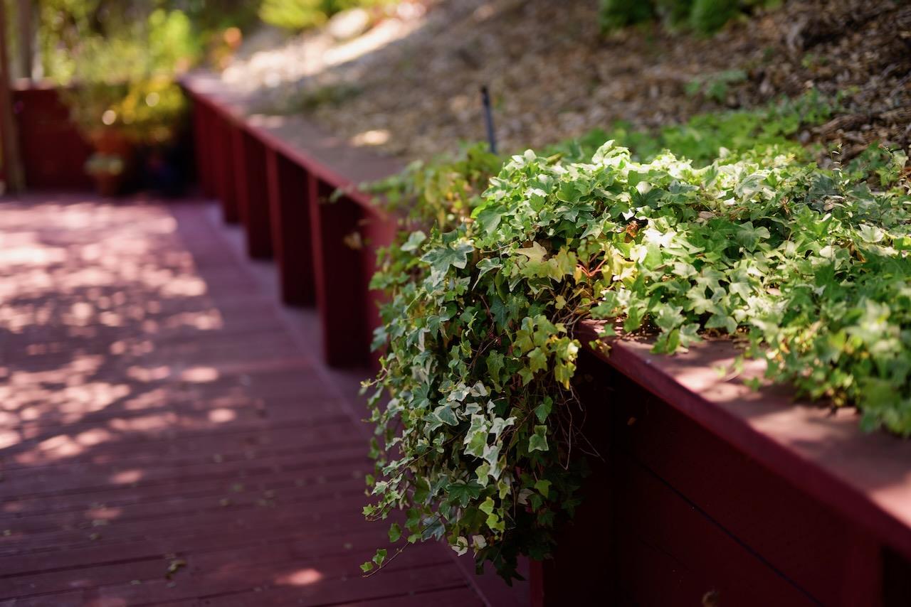 Detail Gallery Image 95 of 99 For 117 1/2 Blueberry Dr, Scotts Valley,  CA 95066 - 5 Beds | 3 Baths