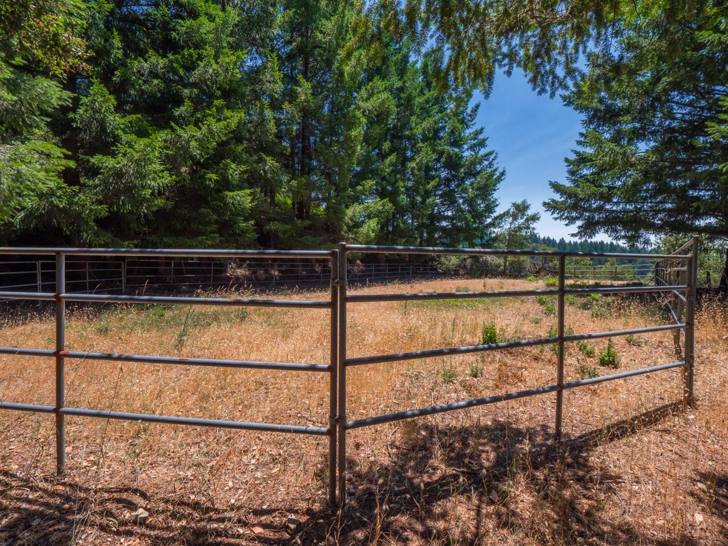 Detail Gallery Image 30 of 48 For 12333 Indian Trail Rd, Los Gatos,  CA 95033 - 4 Beds | 3/1 Baths