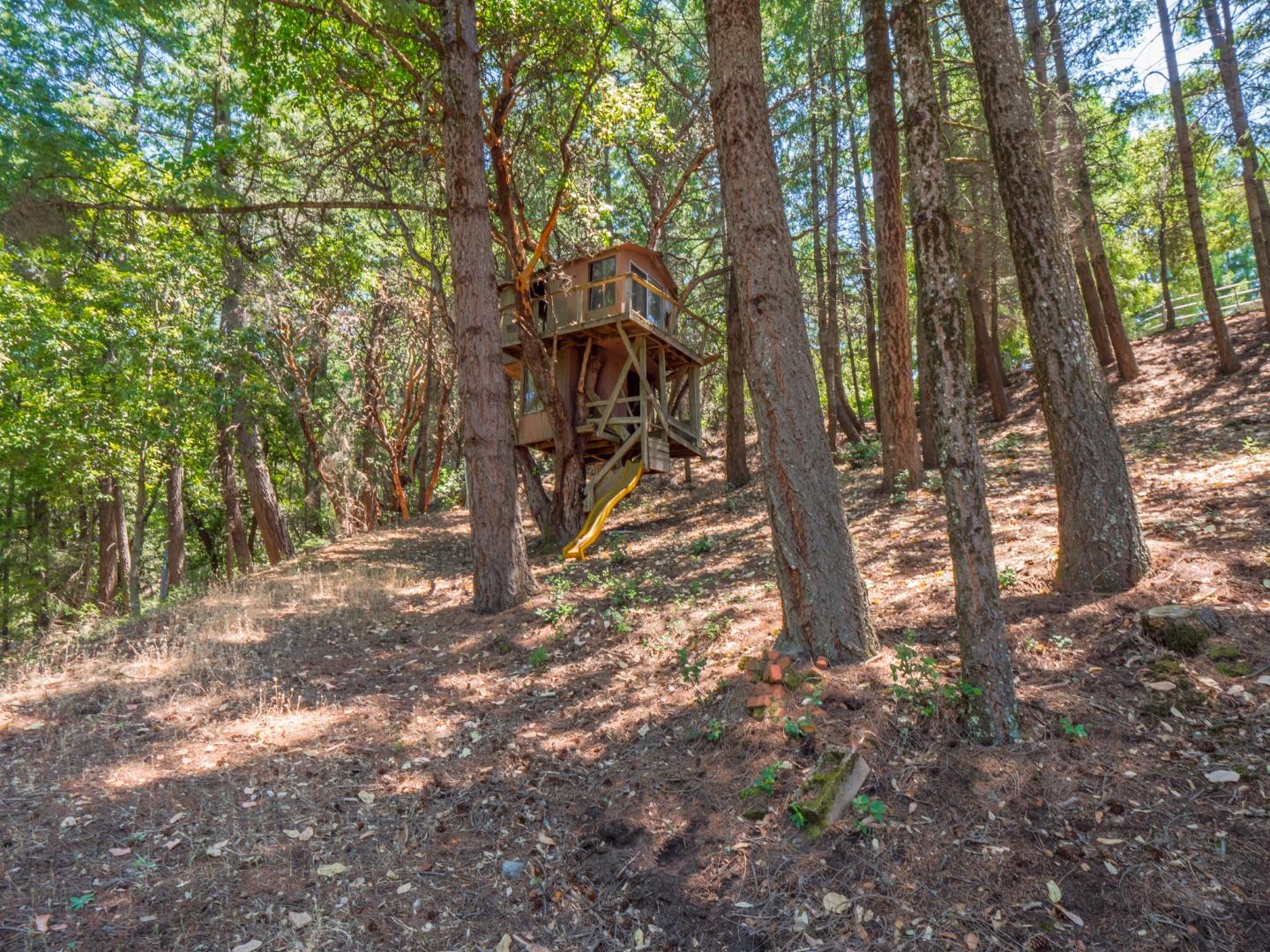 Detail Gallery Image 34 of 48 For 12333 Indian Trail Rd, Los Gatos,  CA 95033 - 4 Beds | 3/1 Baths