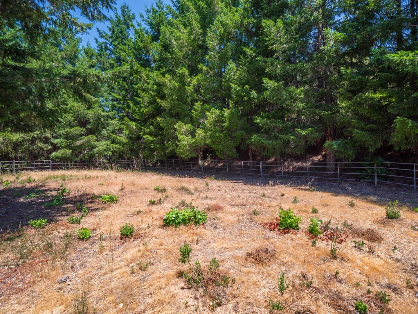 Detail Gallery Image 36 of 48 For 12333 Indian Trail Rd, Los Gatos,  CA 95033 - 4 Beds | 3/1 Baths