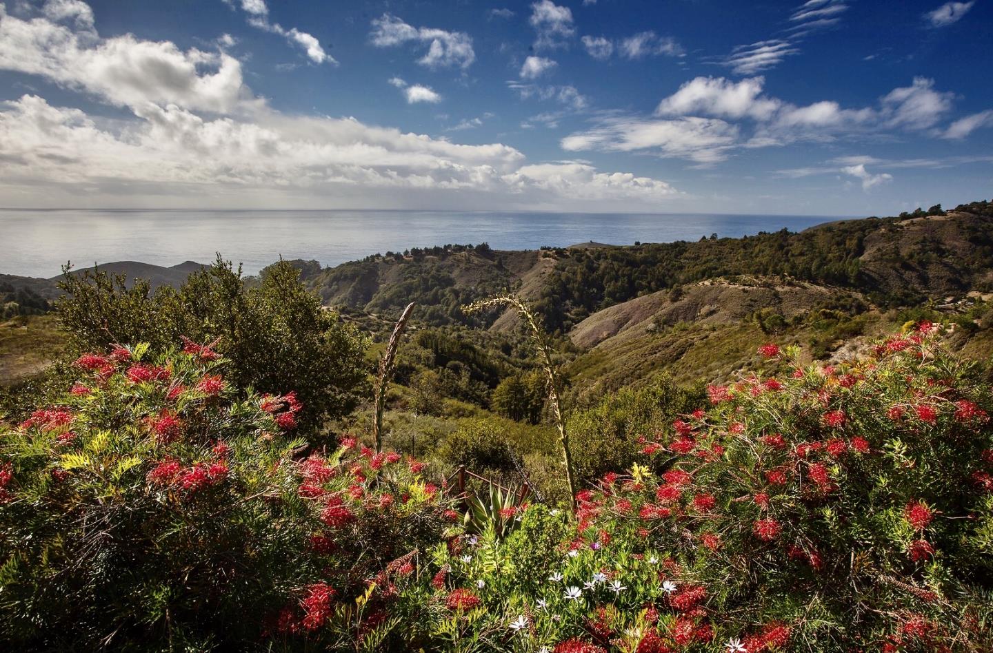 Detail Gallery Image 20 of 39 For 46304 Pfeiffer Ridge Rd, Big Sur Coast,  CA 93920 - 4 Beds | 4 Baths