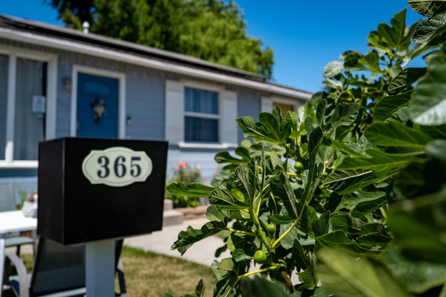 Detail Gallery Image 41 of 41 For 365 Bradley Ave, San Jose,  CA 95128 - 3 Beds | 2 Baths