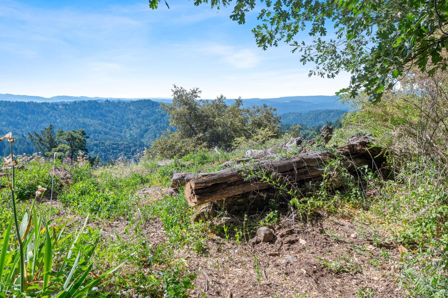 Detail Gallery Image 10 of 27 For 15901 Skyline Blvd, Los Gatos,  CA 95033 - 2 Beds | 1/1 Baths