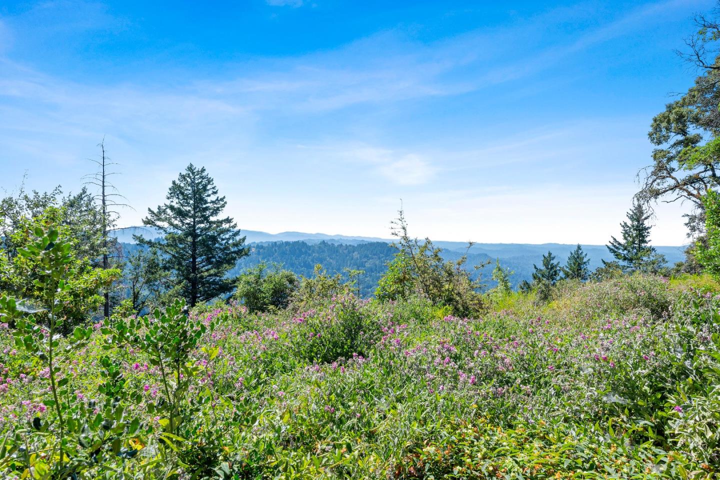 Detail Gallery Image 19 of 27 For 15901 Skyline Blvd, Los Gatos,  CA 95033 - 2 Beds | 1/1 Baths