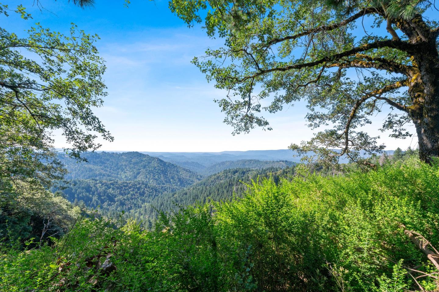 Detail Gallery Image 2 of 27 For 15901 Skyline Blvd, Los Gatos,  CA 95033 - 2 Beds | 1/1 Baths