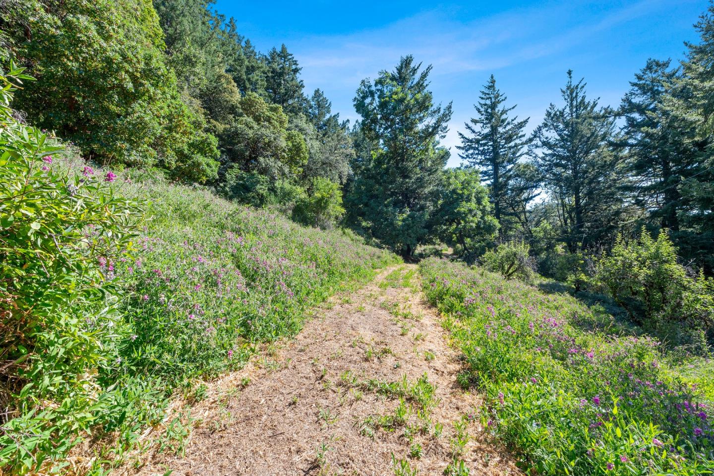 Detail Gallery Image 5 of 27 For 15901 Skyline Blvd, Los Gatos,  CA 95033 - 2 Beds | 1/1 Baths