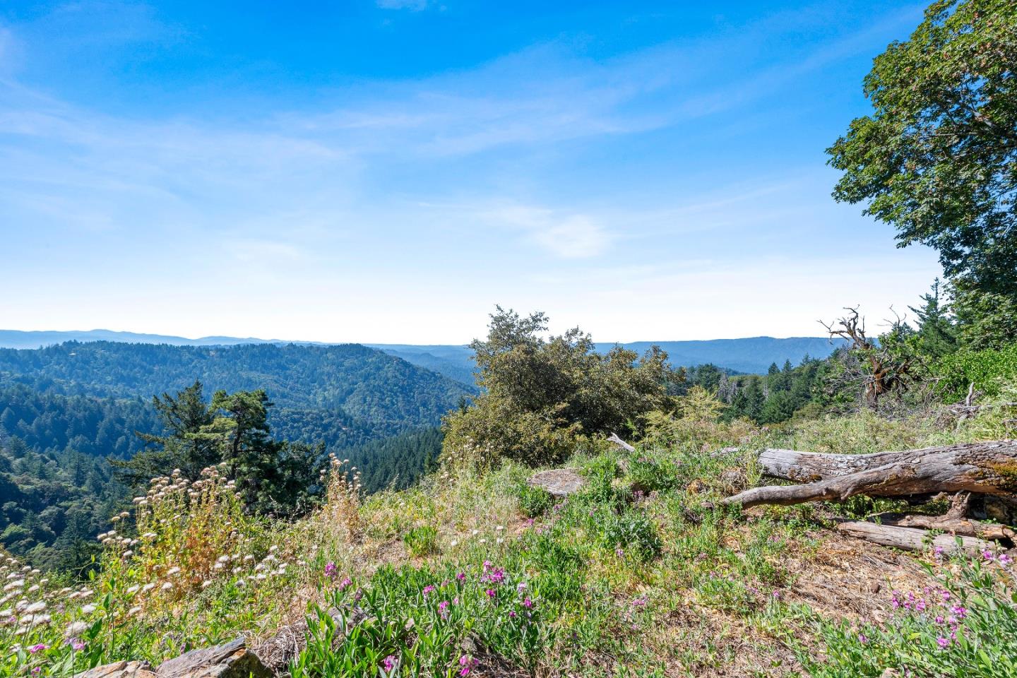 Detail Gallery Image 9 of 27 For 15901 Skyline Blvd, Los Gatos,  CA 95033 - 2 Beds | 1/1 Baths