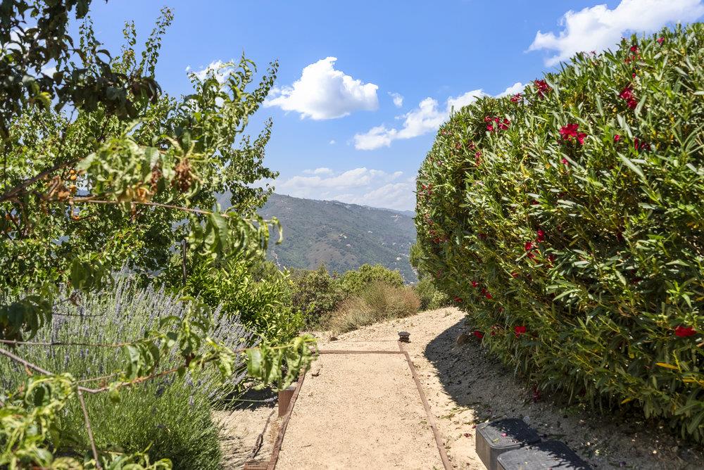 Detail Gallery Image 60 of 82 For 15355 Blackberry Hill Rd, Los Gatos,  CA 95030 - 3 Beds | 2 Baths