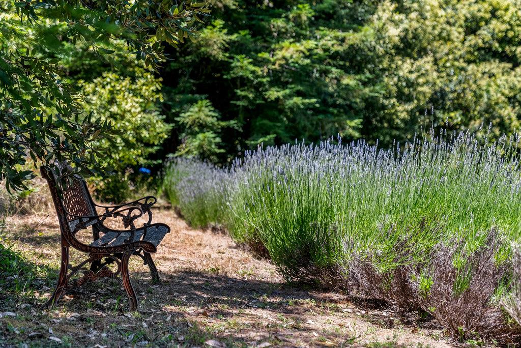 Detail Gallery Image 31 of 41 For 340 Summit Rd, Watsonville_SCC,  CA 95076 - 4 Beds | 2/1 Baths