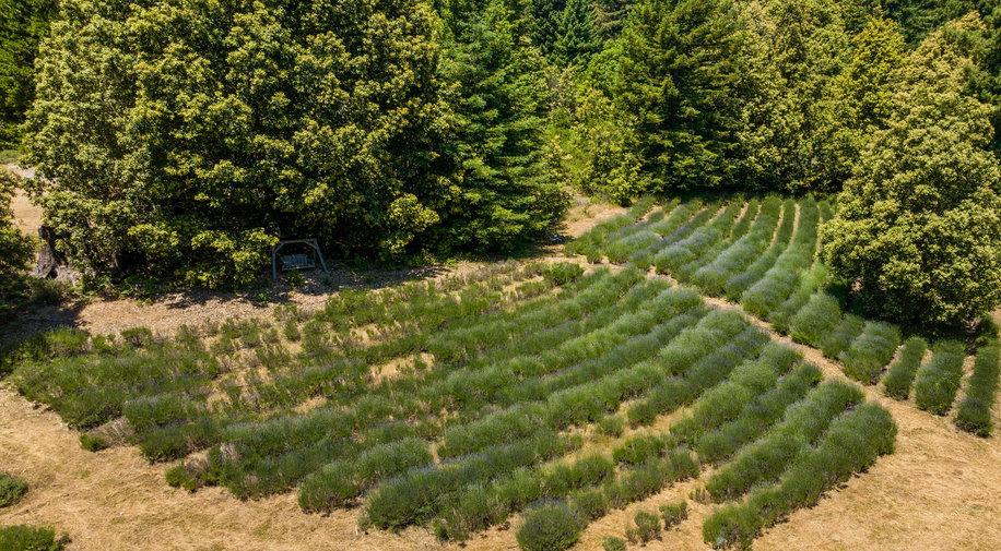 Detail Gallery Image 32 of 41 For 340 Summit Rd, Watsonville_SCC,  CA 95076 - 4 Beds | 2/1 Baths