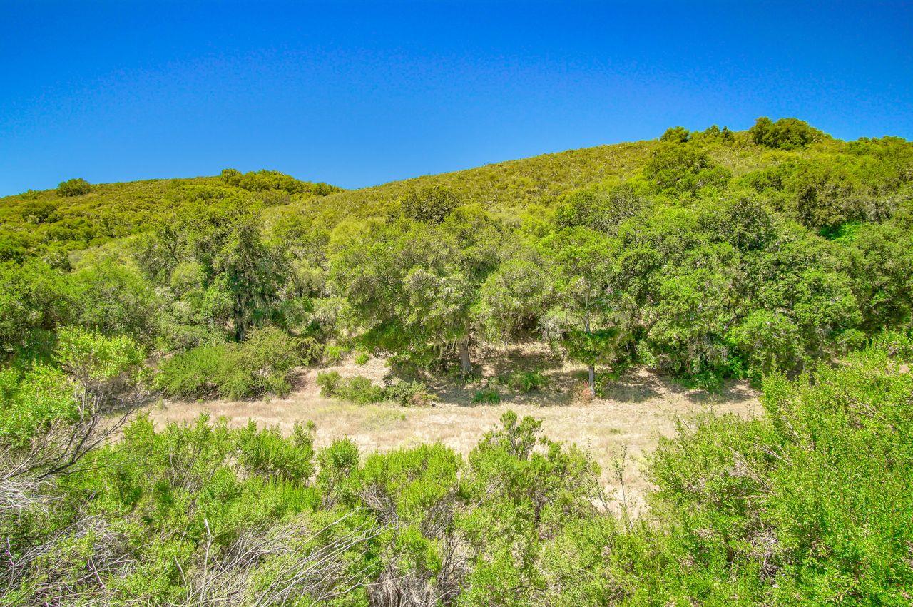 Detail Gallery Image 13 of 21 For 36000 E Carmel Valley Rd, Carmel Valley,  CA 93924 - – Beds | – Baths