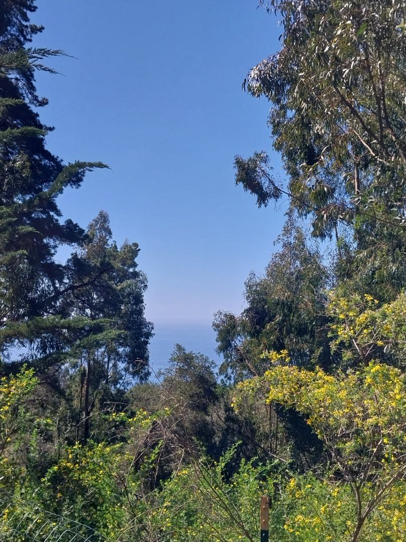 8 E Coastlands, Big Sur, California 93920, ,Land,For Sale,8 E Coastlands,ML81973715