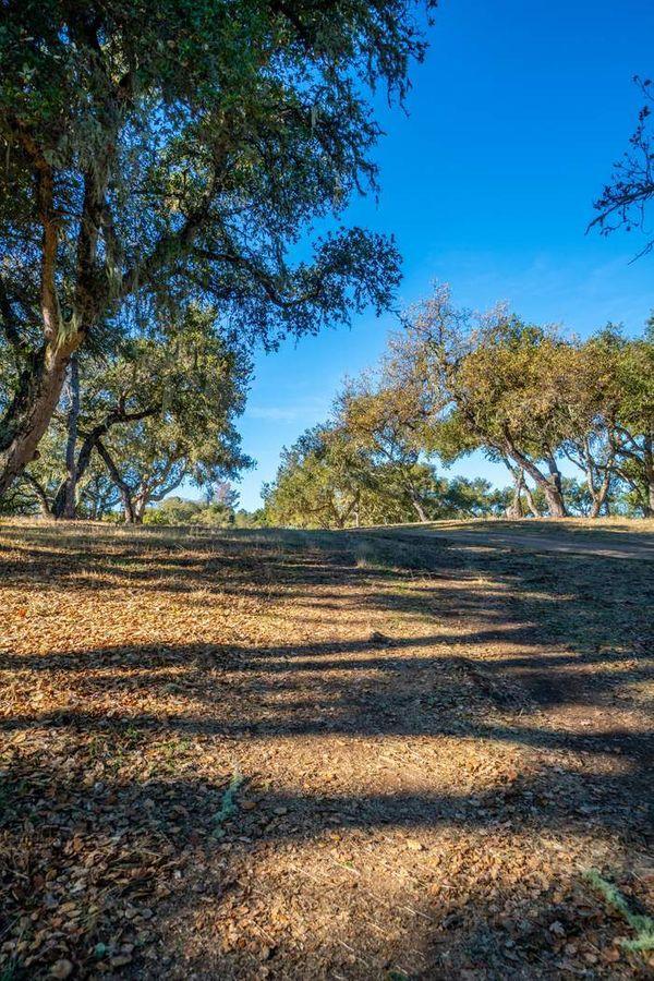 Detail Gallery Image 30 of 32 For 17114 Cachagua Rd, Carmel Valley,  CA 93924 - – Beds | – Baths