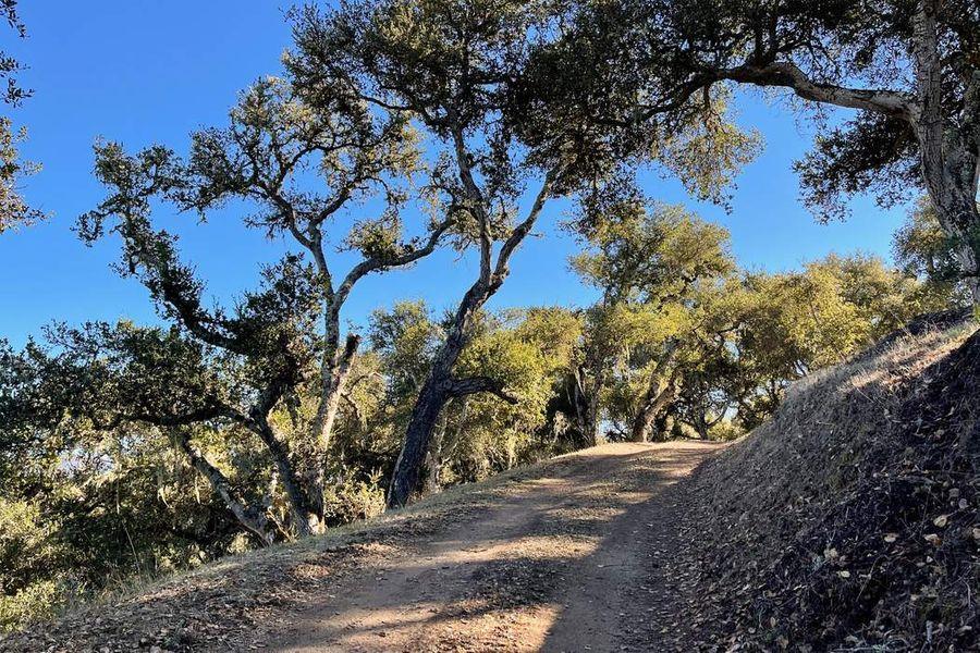 Detail Gallery Image 7 of 32 For 17114 Cachagua Rd, Carmel Valley,  CA 93924 - – Beds | – Baths