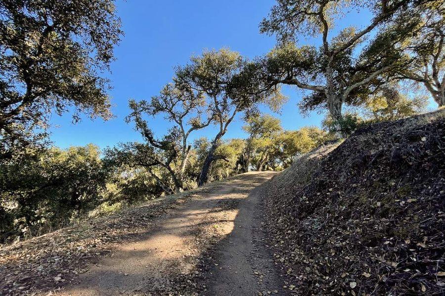Detail Gallery Image 8 of 32 For 17114 Cachagua Rd, Carmel Valley,  CA 93924 - – Beds | – Baths