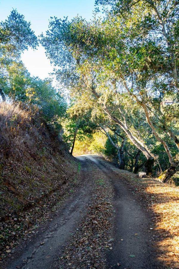 Detail Gallery Image 9 of 32 For 17114 Cachagua Rd, Carmel Valley,  CA 93924 - – Beds | – Baths