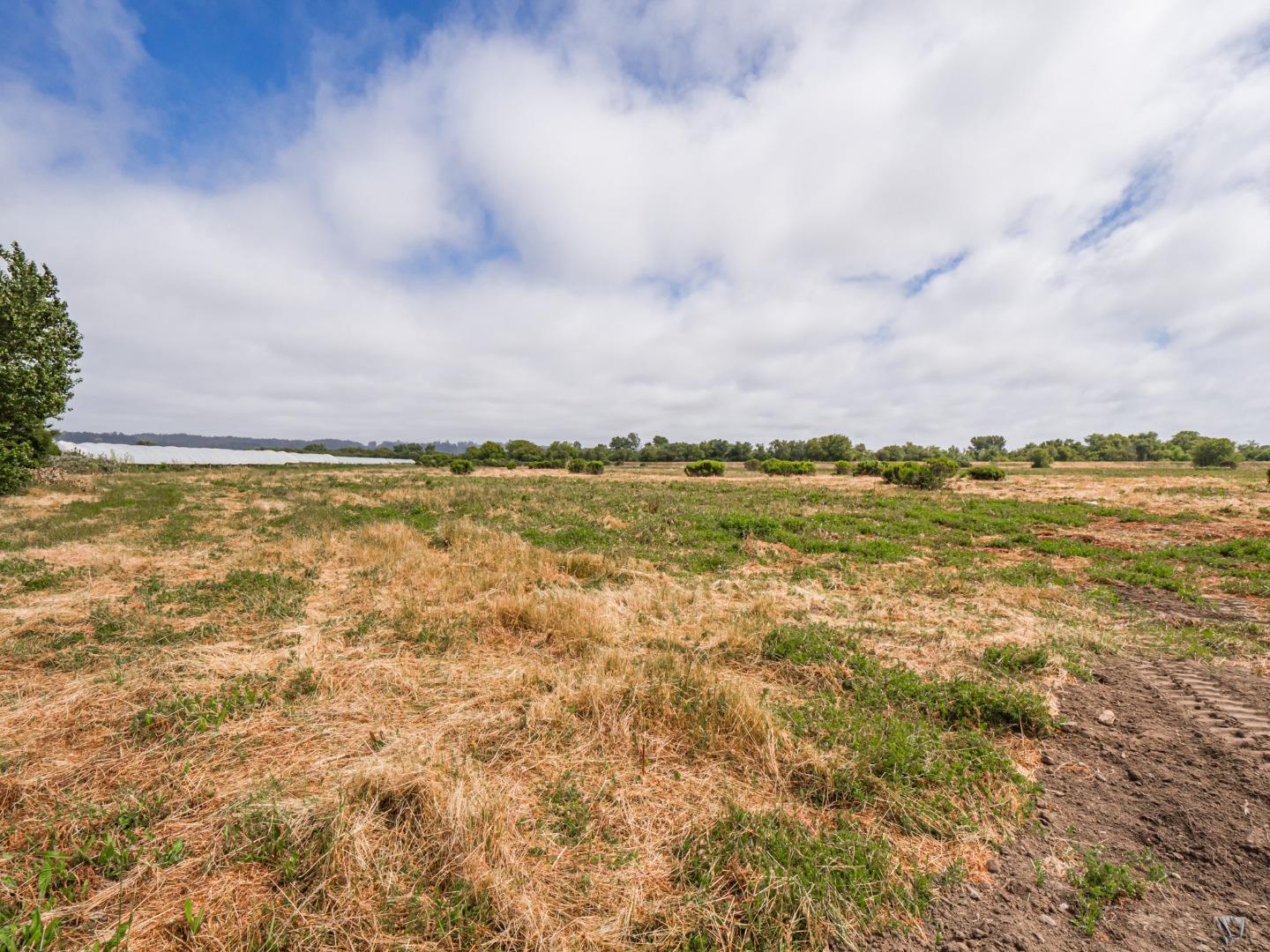 Detail Gallery Image 15 of 43 For 30 Riverside Rd, Watsonville,  CA 95076 - – Beds | – Baths