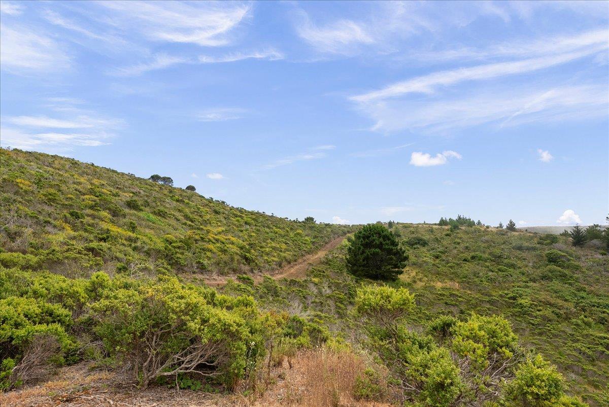 Detail Gallery Image 15 of 48 For 0000 Stage Rd, San Gregorio,  CA 94074 - – Beds | – Baths