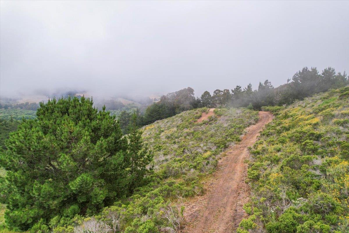 Detail Gallery Image 26 of 48 For 0000 Stage Rd, San Gregorio,  CA 94074 - – Beds | – Baths