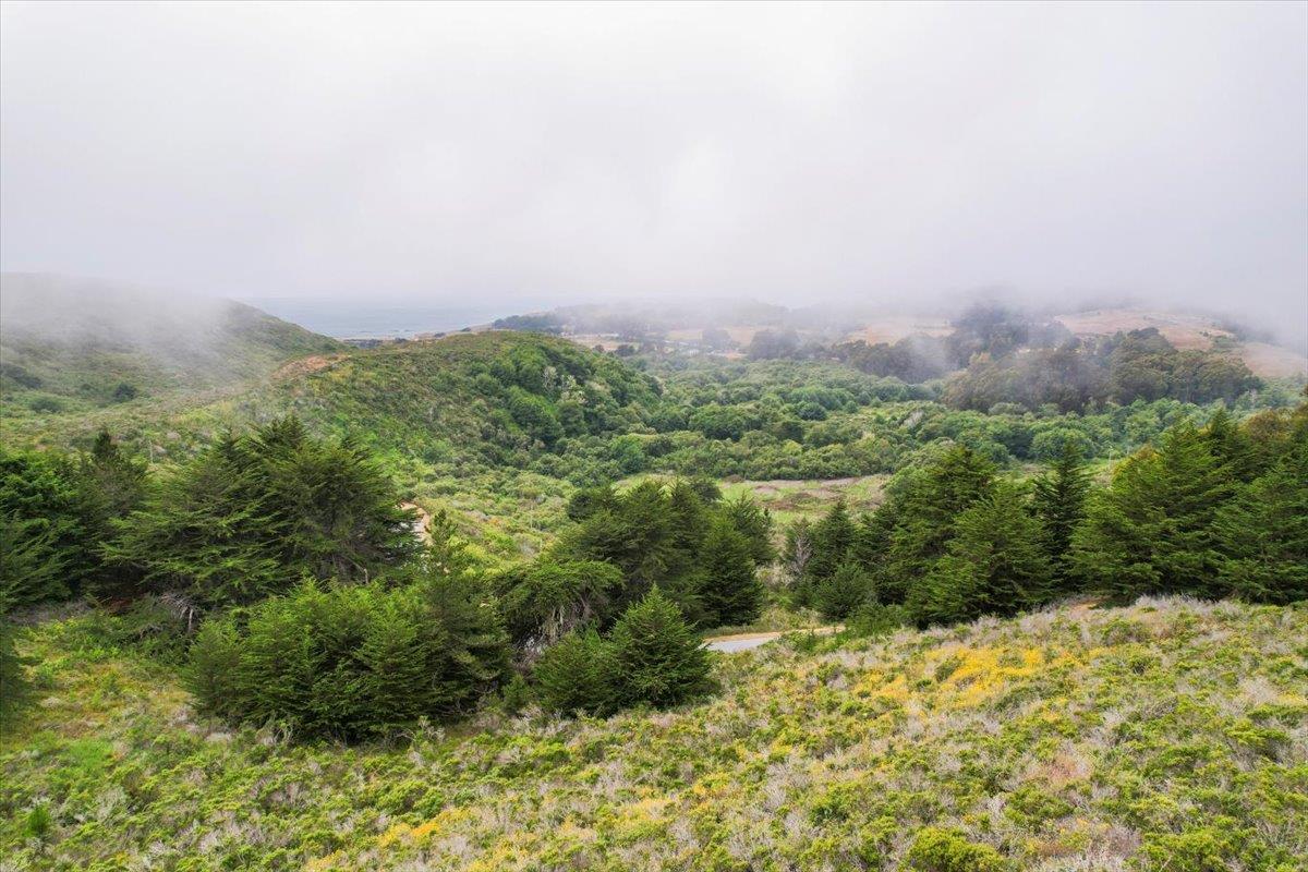 Detail Gallery Image 27 of 48 For 0000 Stage Rd, San Gregorio,  CA 94074 - – Beds | – Baths