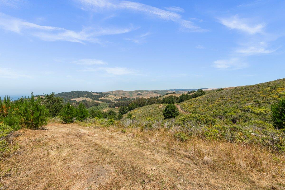 Detail Gallery Image 46 of 48 For 0000 Stage Rd, San Gregorio,  CA 94074 - – Beds | – Baths