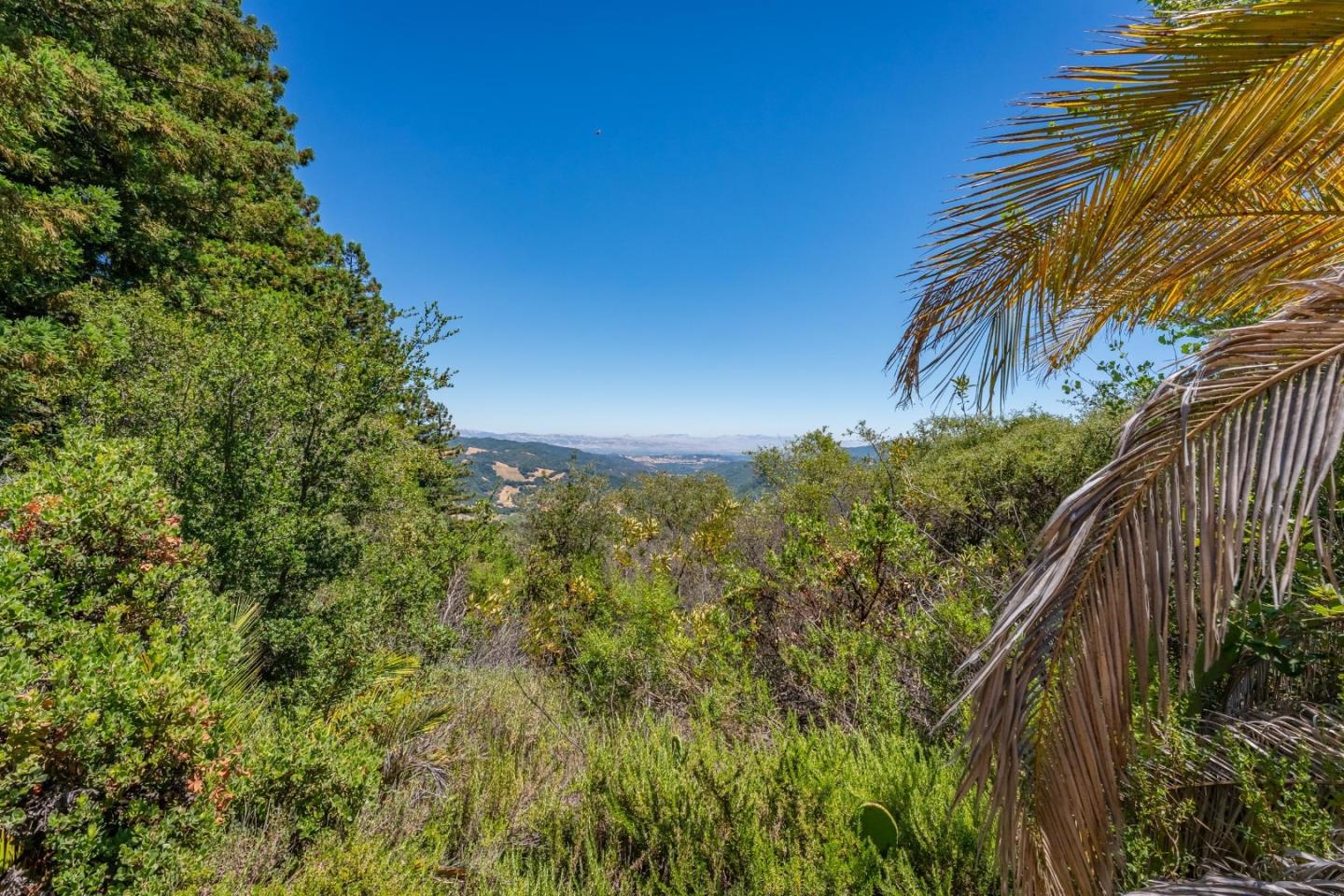 Detail Gallery Image 9 of 37 For 7175 Redwood Retreat Rd, Gilroy,  CA 95020 - – Beds | – Baths