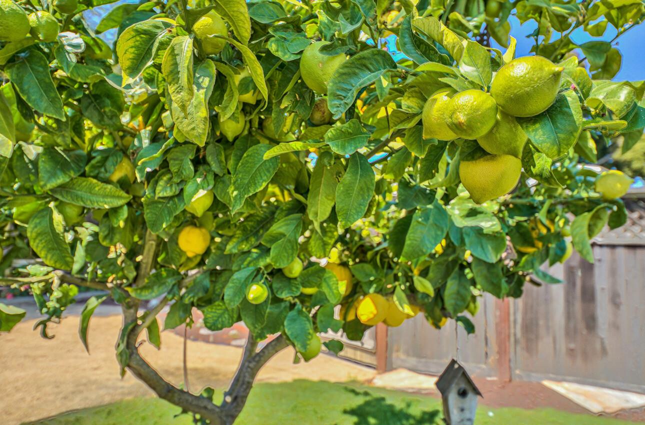 Detail Gallery Image 26 of 33 For 34 Harvest St, Salinas,  CA 93901 - 2 Beds | 1 Baths