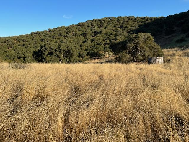 0 Pine Canyon Road, King City, CA, 93930